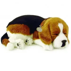 Sensory Pet - Beagle
