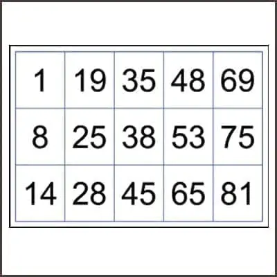 Large prrintable bingo cards