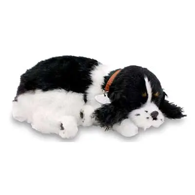 Sensory Pet - Cocker Spaniel