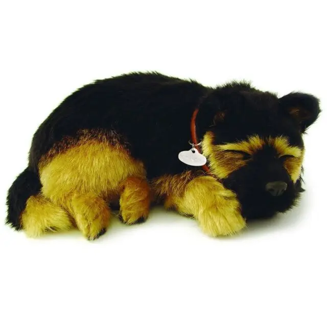 German Shepard sensory touch pet