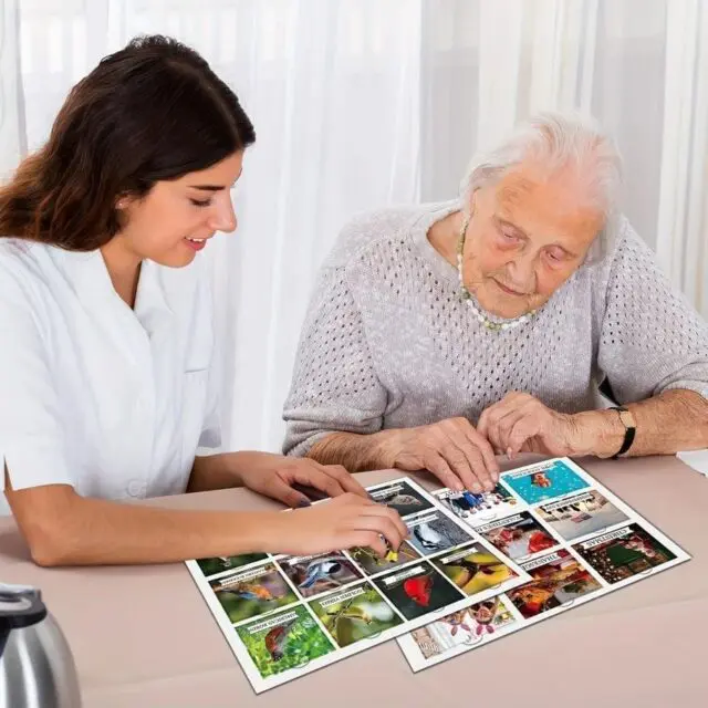 Memory Matching Picture Set
