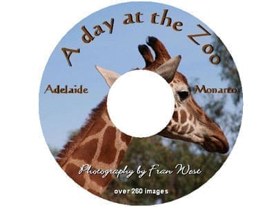 A Day at the Zoo DVD