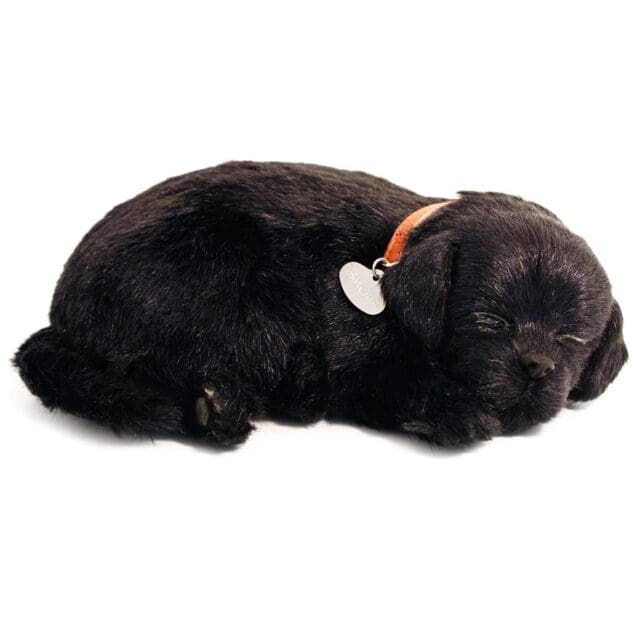 Sensory Pet - Black Labrador