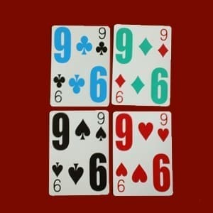 Bicycle Lo-Vision Playing Cards