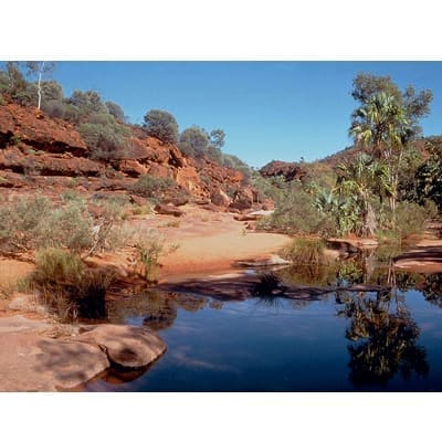 20 Piece Ecoboard Jigsaw Puzzle - Outback Pool