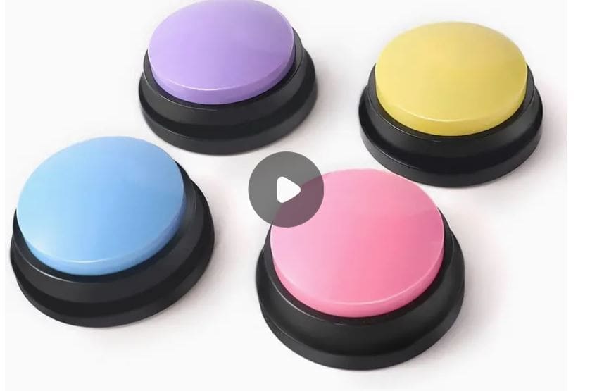 Answer Buzzers Recordable