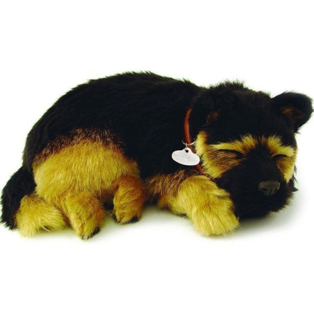 German Shepard sensory touch pet