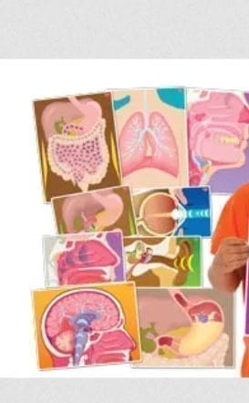 My Body In Action - Set of 10 Cards